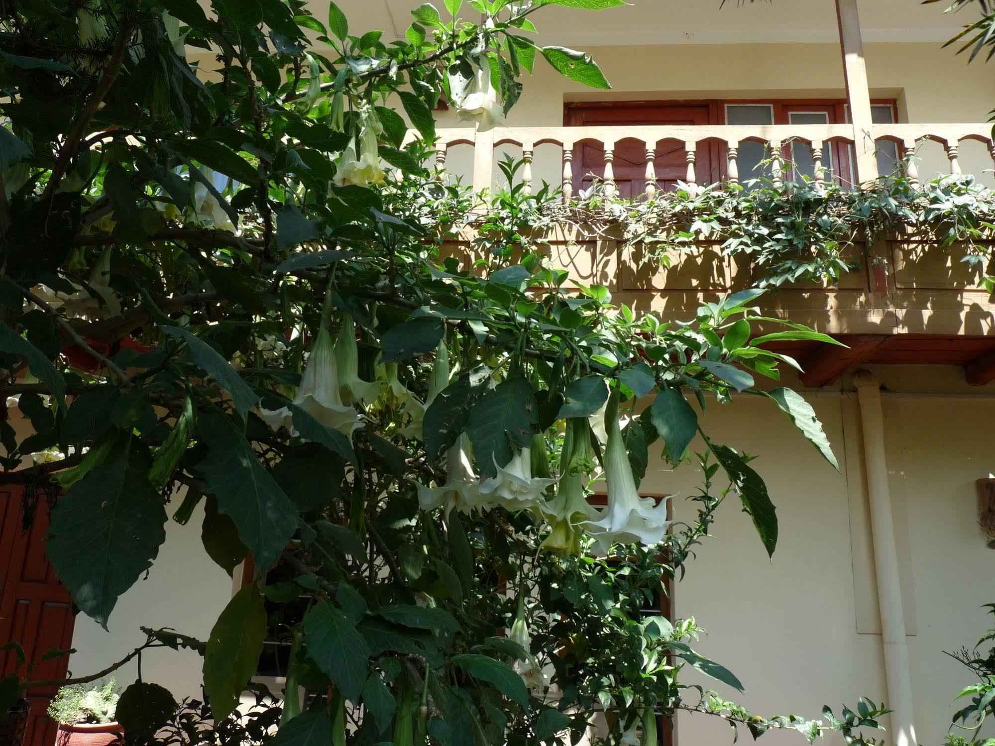 Kukuli Lodge B&B Куско Экстерьер фото